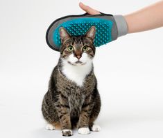 Katzen Noppenhandschuh Winterfell muss weg Fabrikneu
