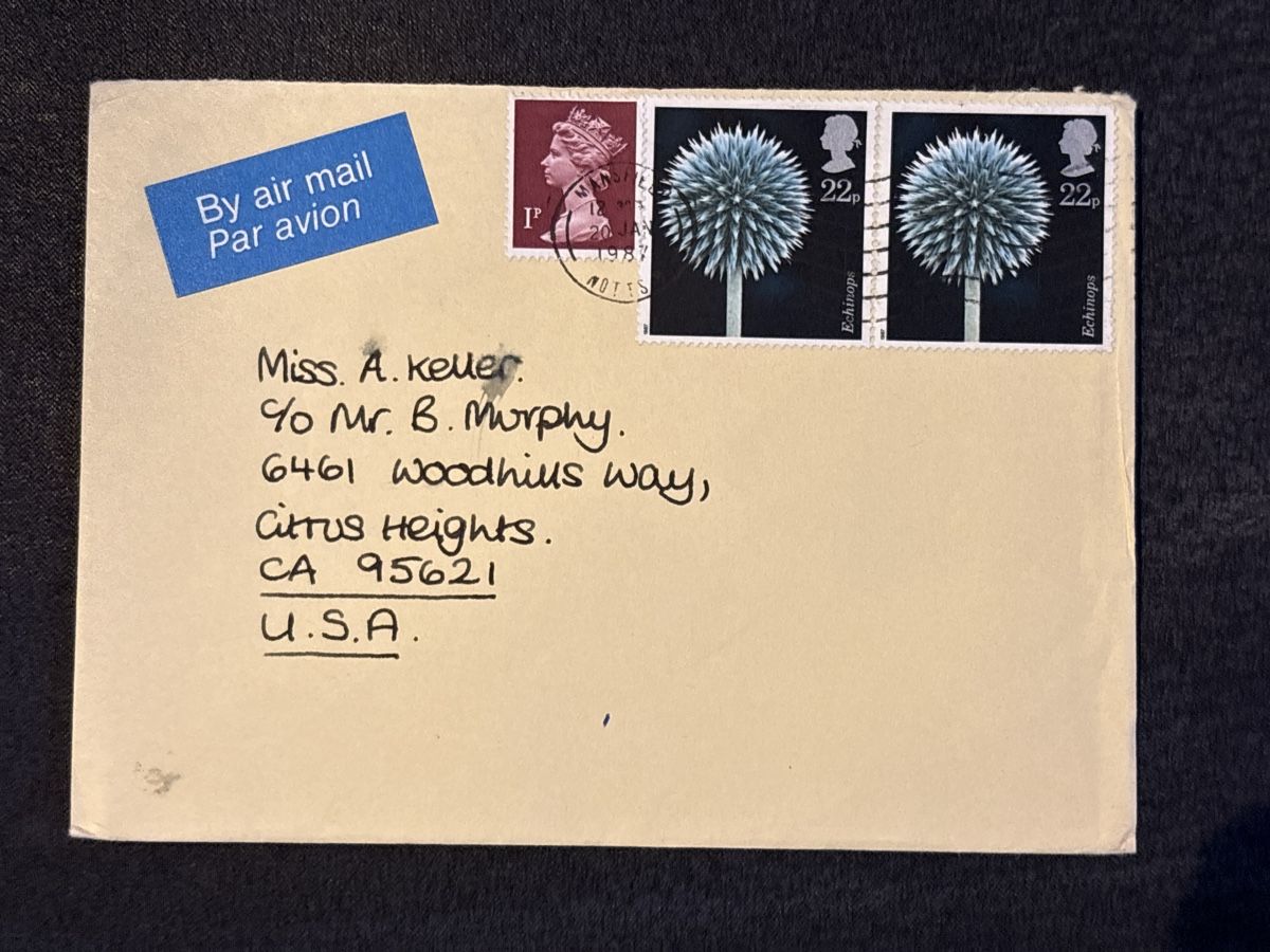 Tutti i francobolli: Lettre affranchie avec timbres rares Echinops, 1987 – Usato da Carouge GE venduto da irma016