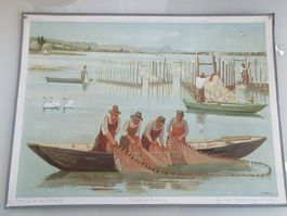 Schulwandbild Nr. 18 Fischerei am Bodensee (Untersee)