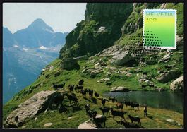 MK Farben der CH - Alpenwiesengrün, Passo di Piatto