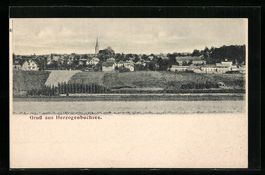 Herzogenbuchsee, Ortspanorama mit Kircht