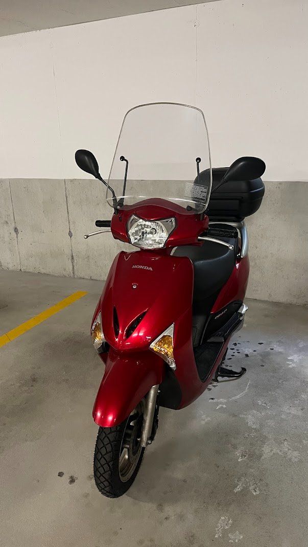 Honda Scooters: Roller Honda Lead NHX110 Top Zustand ab Servis und MFK – Gebraucht aus Villmergen von honajss 1
