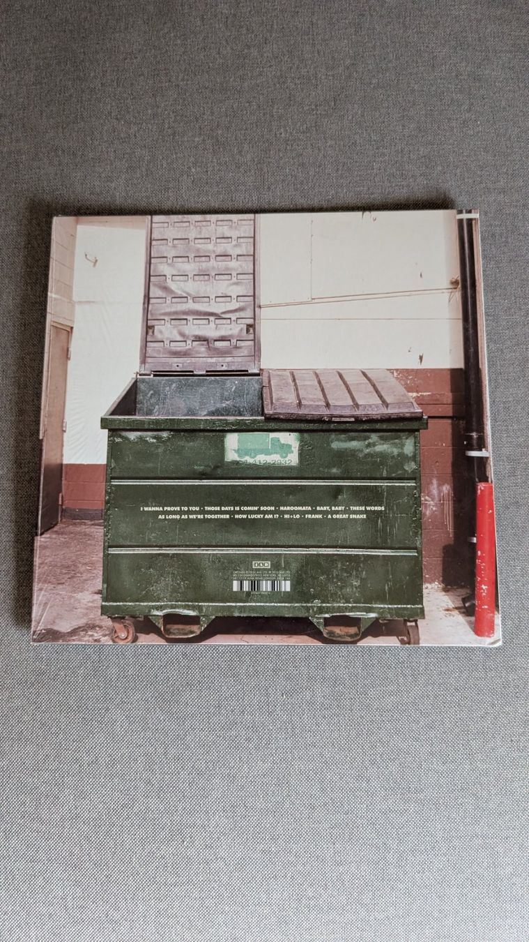 Dischi in vinile: The Lemon Twigs - Do Hollywood LP – Usato da Steinen venduto da beatstick 1