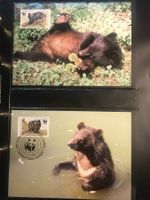 WWF Pakistan 1989 Satz Kragenbär Maximumkarten