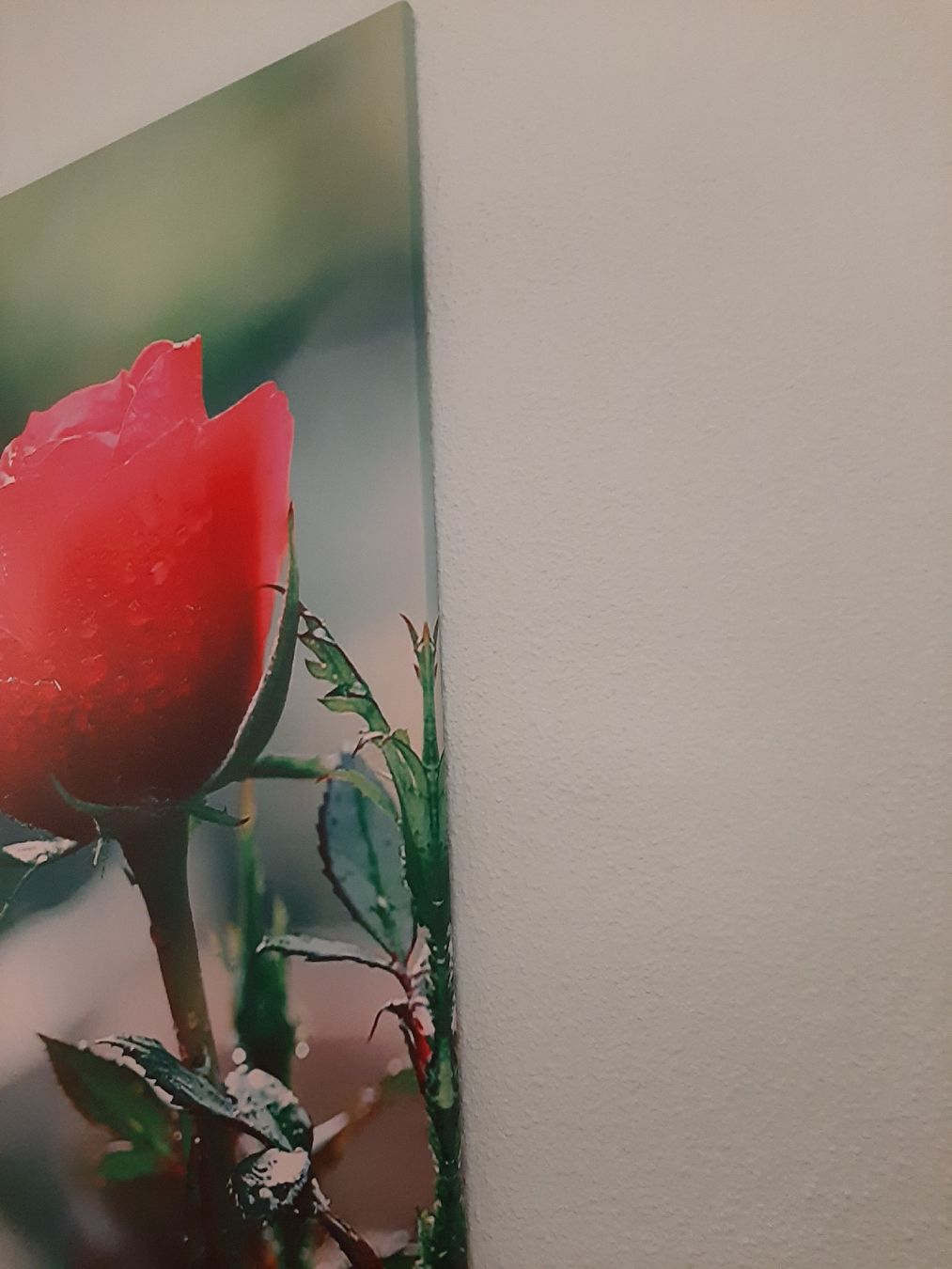 Foto & Immagini: Neues Leinwandbild, 60x90cm. originalverpackt – Nuovo e nell'imballaggio originale da Hochdorf venduto da Amazone0 2