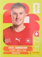 Panini FIFA World Cup SUI 16