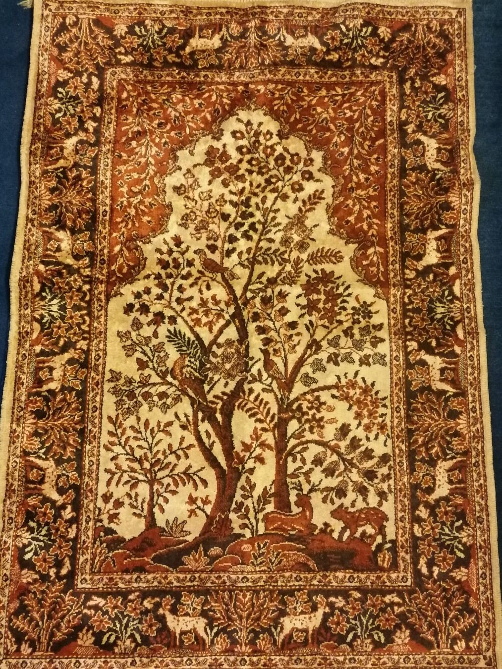 Tapis: Teppich – D'occasion à Zürich par tcd_q9m5