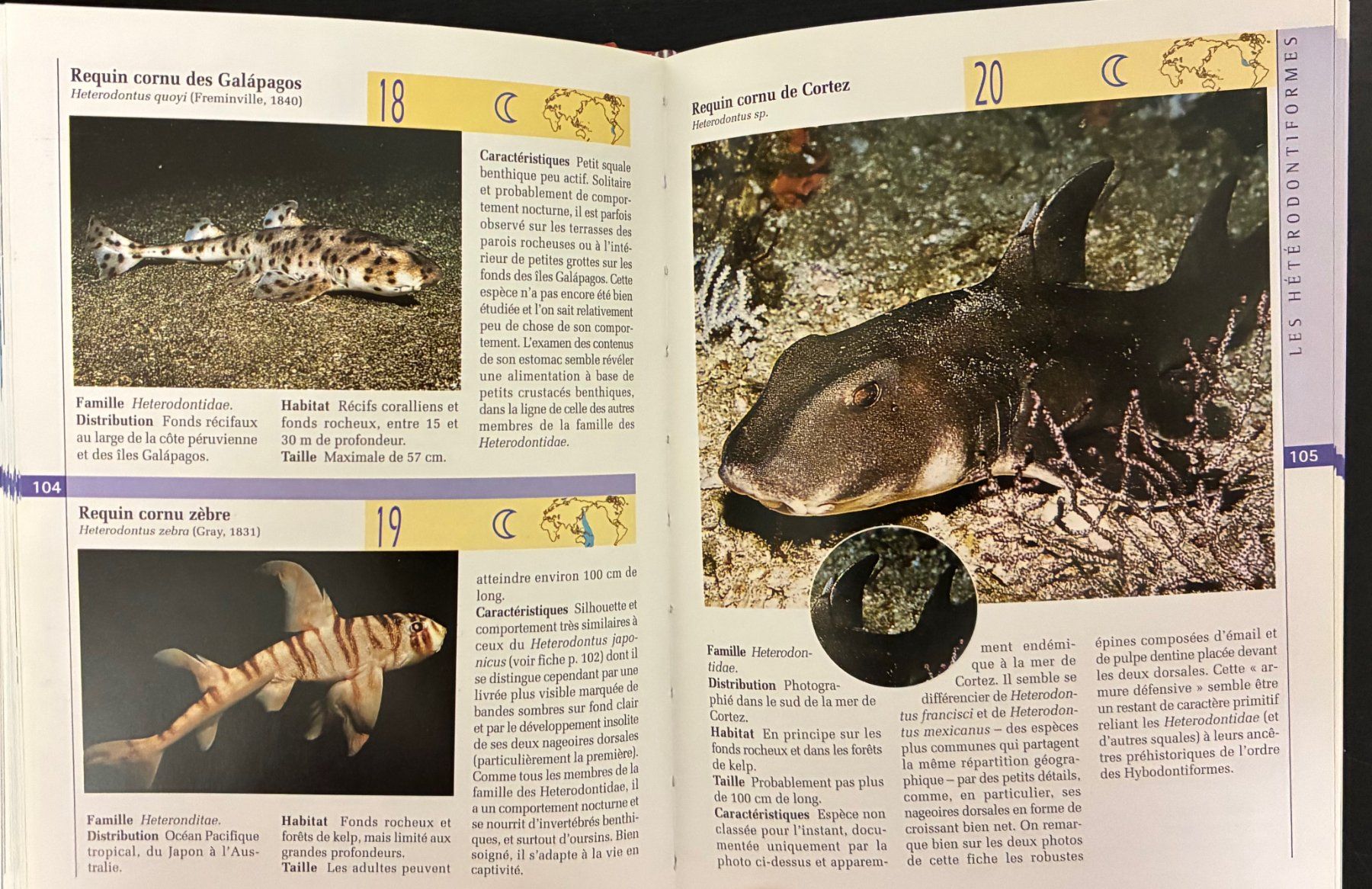 Libri: Requins du monde – Usato da Moutier venduto da lebadin 4