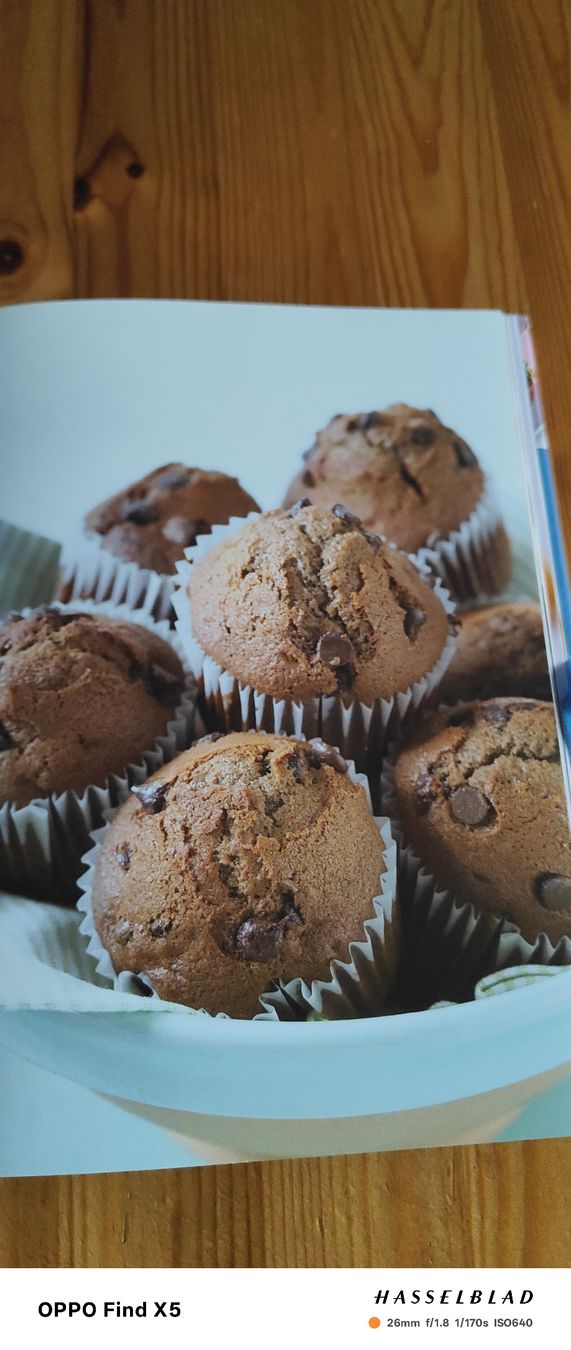 Bücher: Muffins – Gebraucht aus Volken von katz5 1