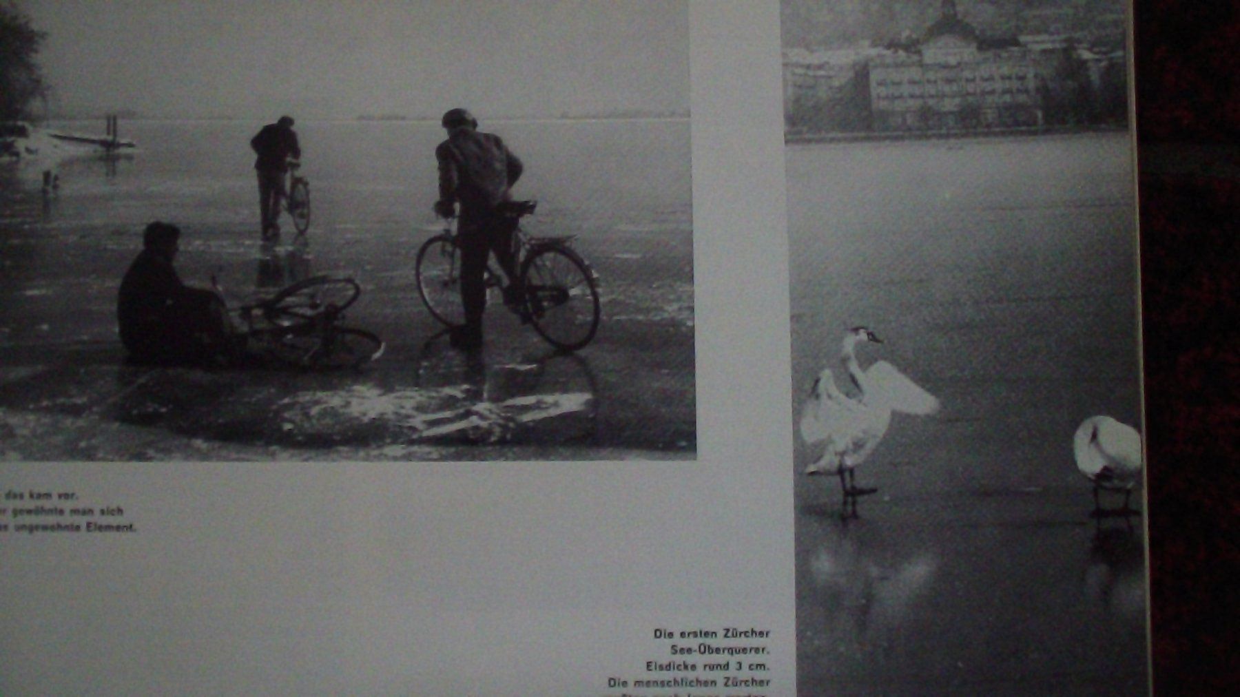 Libri: BUCH:ZÜRICH SEEGFRÖRNI 1963!!! – Usato da Volketswil venduto da nemo2000 3