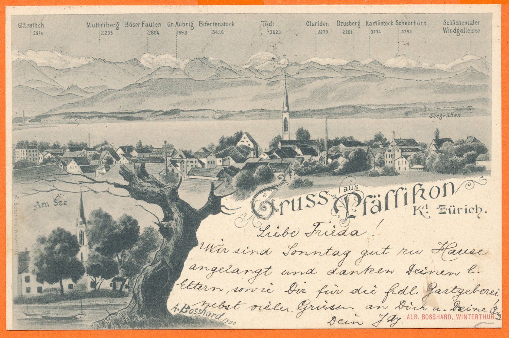 Cartoline postali: Gruss aus PFàFFIKON / ZH - Teilansicht 1901 – Usato da Liestal venduto da flohmy