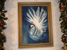 Die Taube ein wertvolles Bild 50x38cm