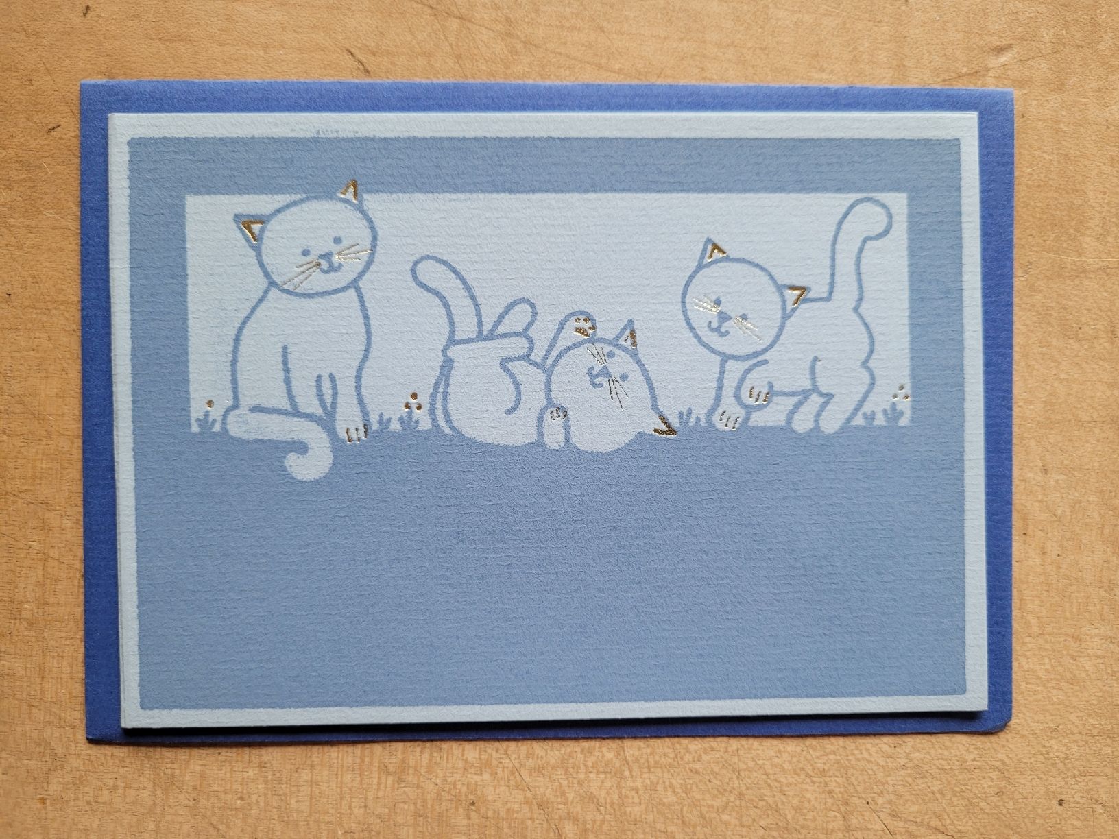 Cartoline: 5 hübsche Karten "Katzen" + Couverts, Papeterie – Nuovo (secondo la descrizione) da Zürich venduto da Engiadinabassa 4