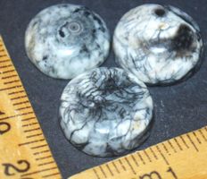 Cabochon Set L-774 – Orthoceras Fossil –  3 Stück