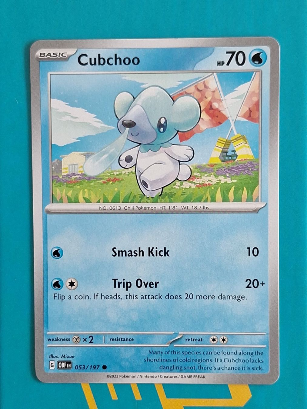 Pokémon Carte collezionabili: Cubchoo - Pokemon Obsidian Flames – Usato da Altstätten SG venduto da GGsGameshop