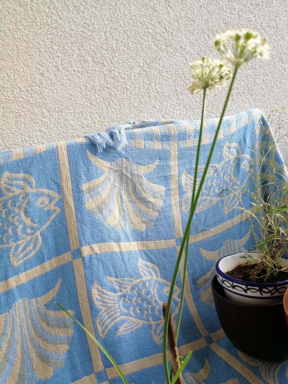 Pflanzen & Samen: Schnittknoblauch – Gebraucht aus Windisch von mer_6cjk 1