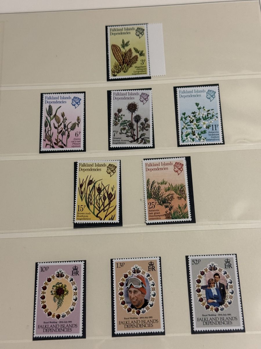 Tutti i francobolli: Falkland Islands STAMPS – Usato da Lausanne venduto da artnouveau04 8