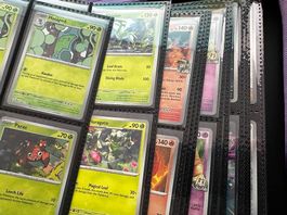 Pokémon Journey Together  Komplettes Master Set + 8 Promos