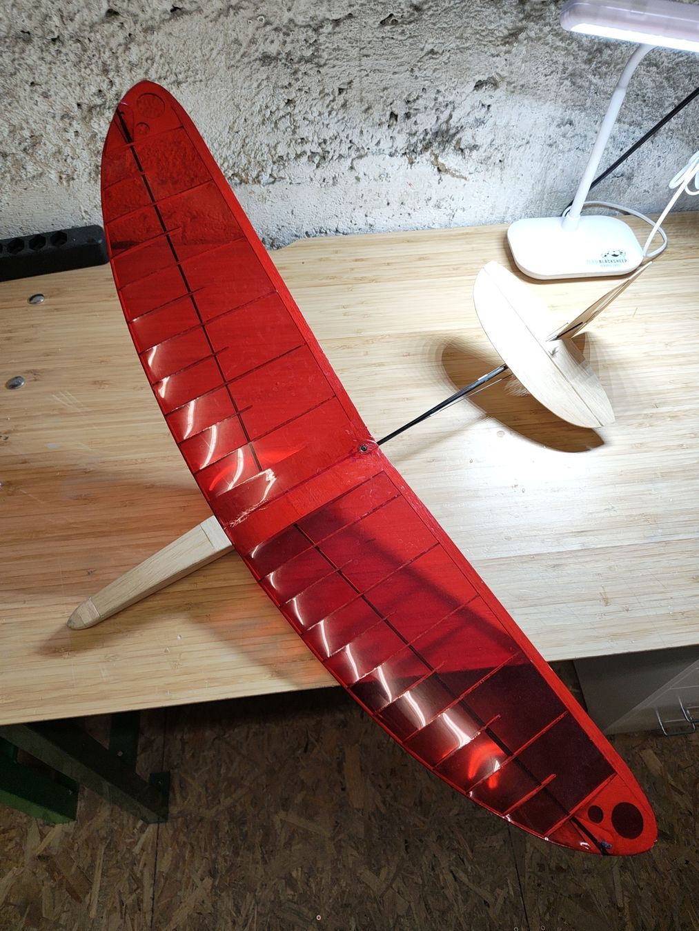 RC Modellbau: DLG Lightning Bug – Gebraucht aus Thun von fpvnoob95