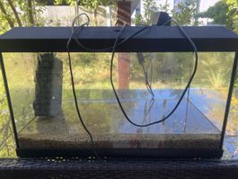 Aquarium mit Pumpe