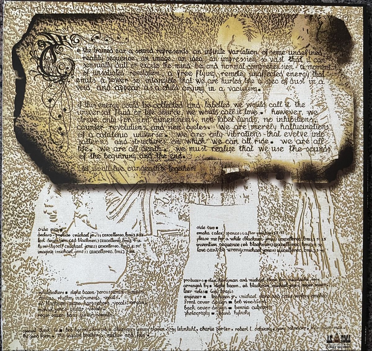Dischi in vinile: Whalefeathers - Declare - AKARMA Vinyl LP – Usato da Olten venduto da Bluespapst 1