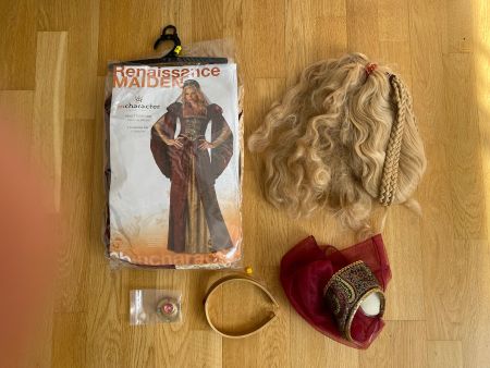 Déguisement Renaissance / médiéval + perruque et accessoires