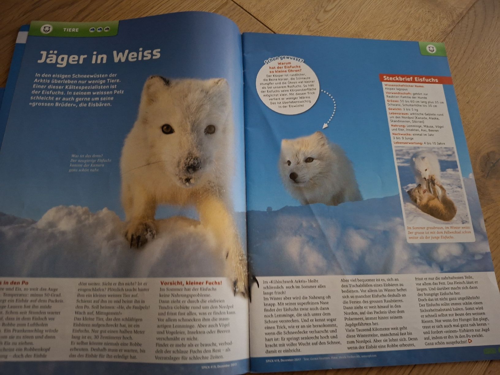 Revues & Magazines: SPICK Schülermagazin Dezember 2017  – D'occasion à Arch par rukus01 2