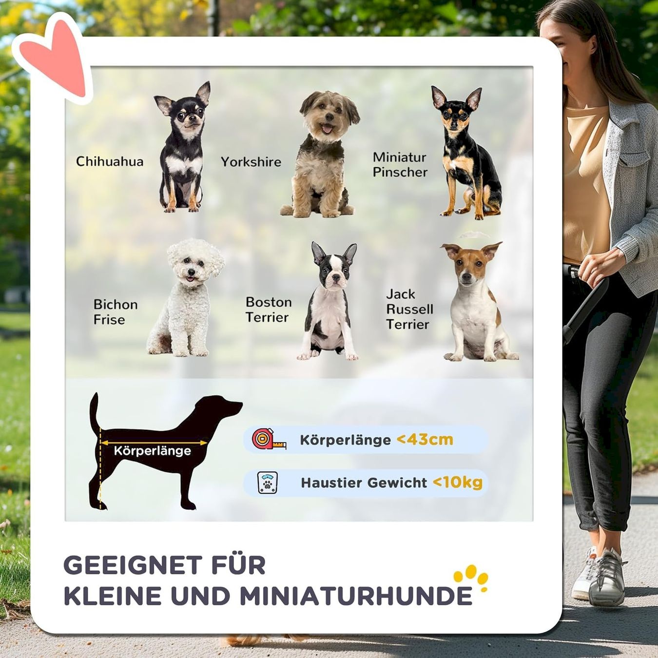 Gabbie, trasporto & Sicurezza: PawHut Hundebuggy dunkelgrau – Nuovo e nell'imballaggio originale da Bottighofen venduto da zaap 3