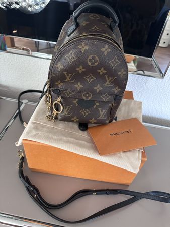 Louis Vuitton Palm Springs mini