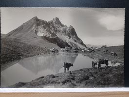 No.20 Alp Parsenn mit Casanna u.Grünhorn, 1928