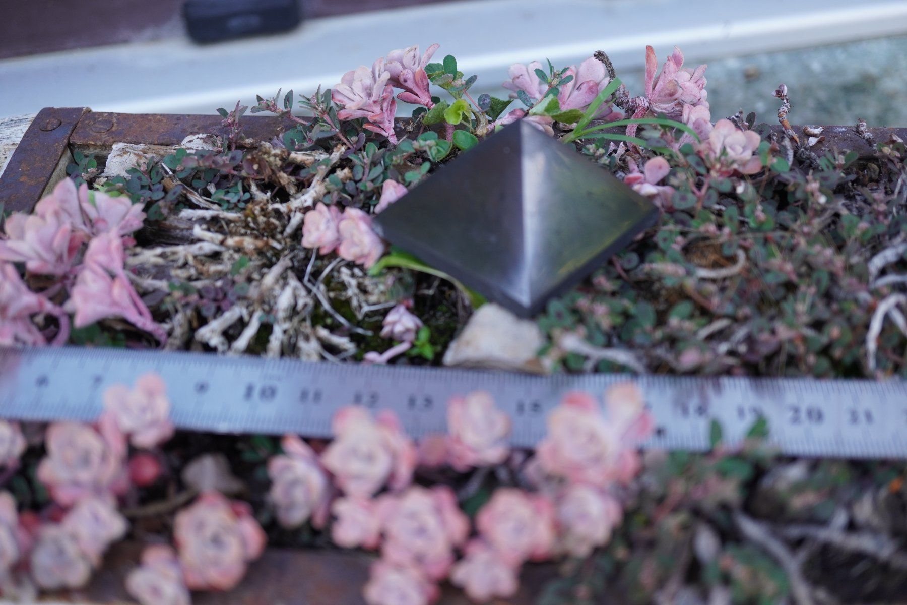 Minerali & Pietre curative: Schungit / Shungit  Pyramide     4cm – Nuovo e nell'imballaggio originale da Eschenbach SG venduto da topstone 2
