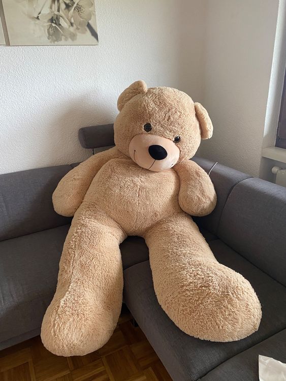 Dear Bear Riesiger XXL Plüschteddy 270 Cm Weiß – Kuscheliger Riesenbär Zum Liebhaben