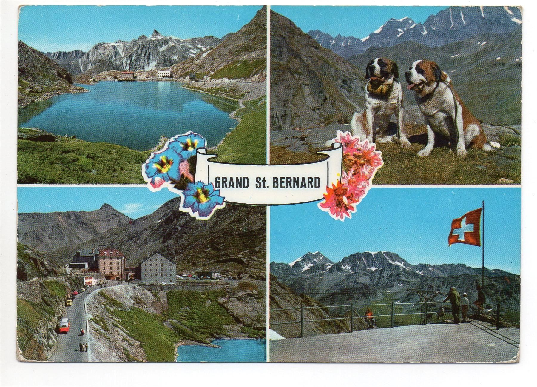 Ansichtskarten: GRAND ST. BERNARD Auto - Bus - Hunde – Gebraucht aus Jona von philajona