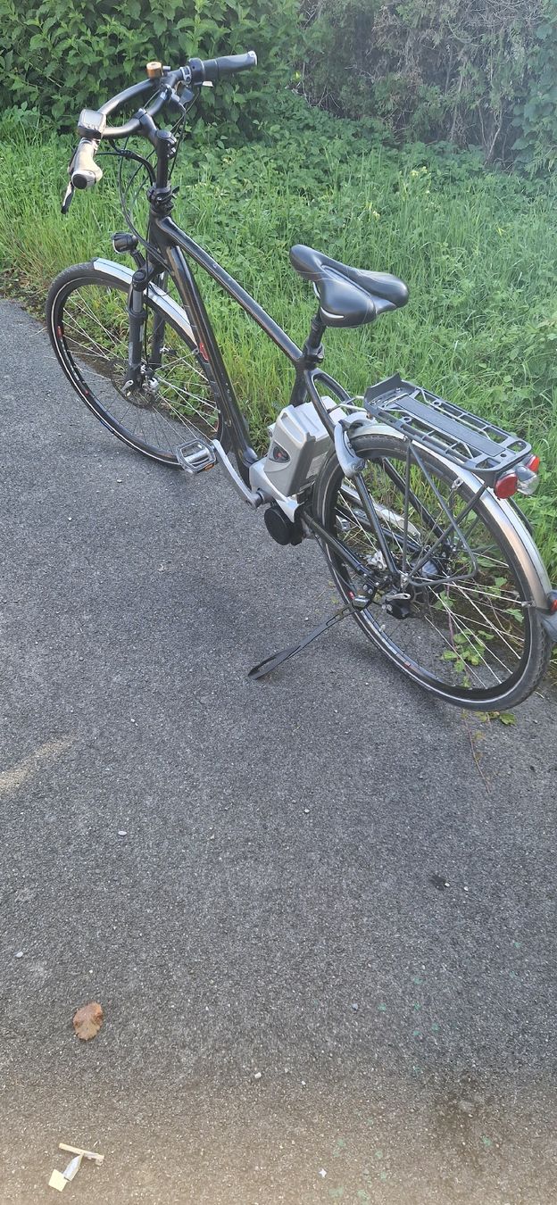 Flyer Biciclette: E-Bike FLYER – Usato da Romanshorn venduto da fag_gnd6 2