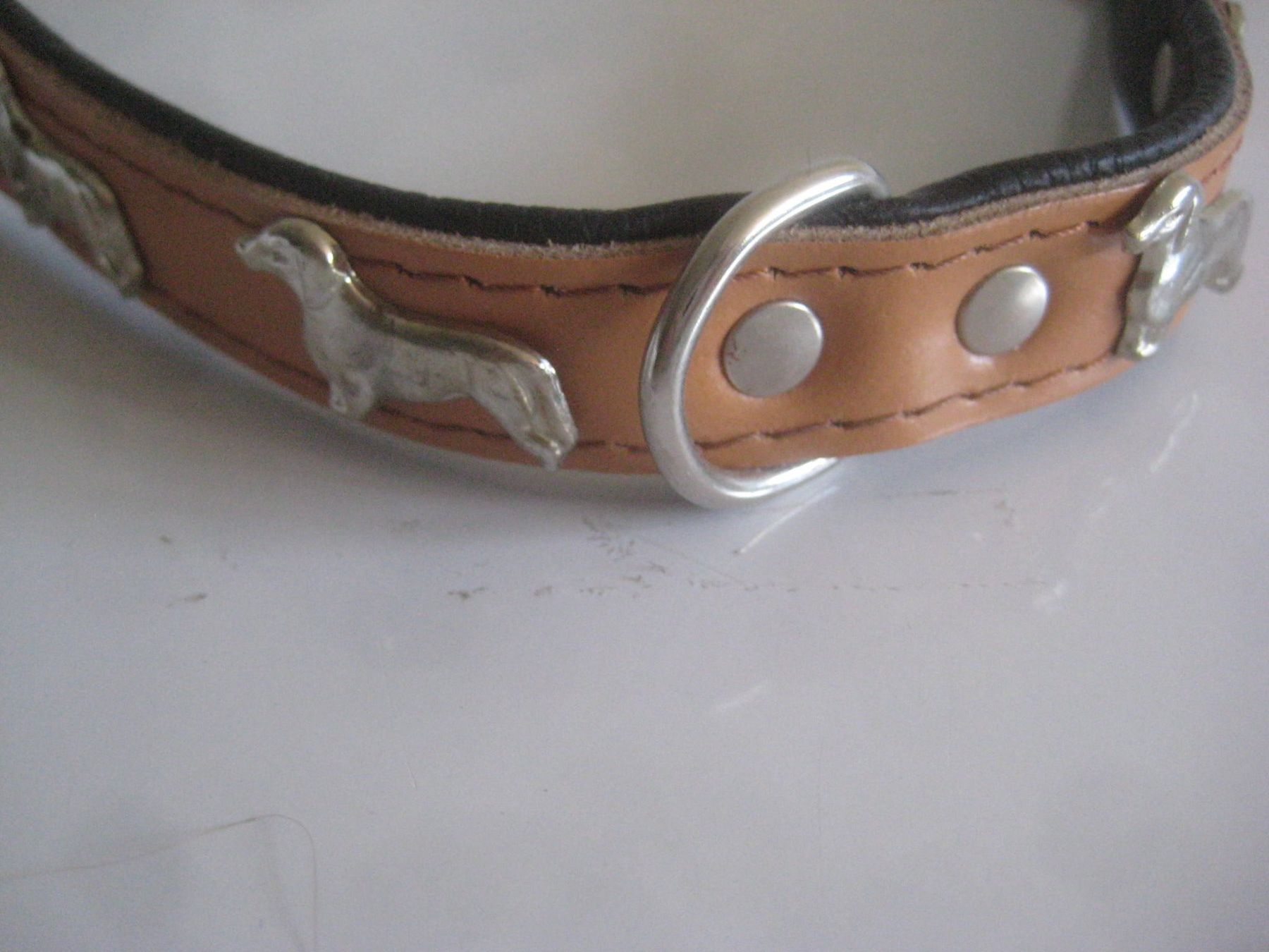 Leine & Halsband: HUNDE  HALSBAND   DACKEL – Neu (gemäss Beschreibung) aus Uster von flocke1 2