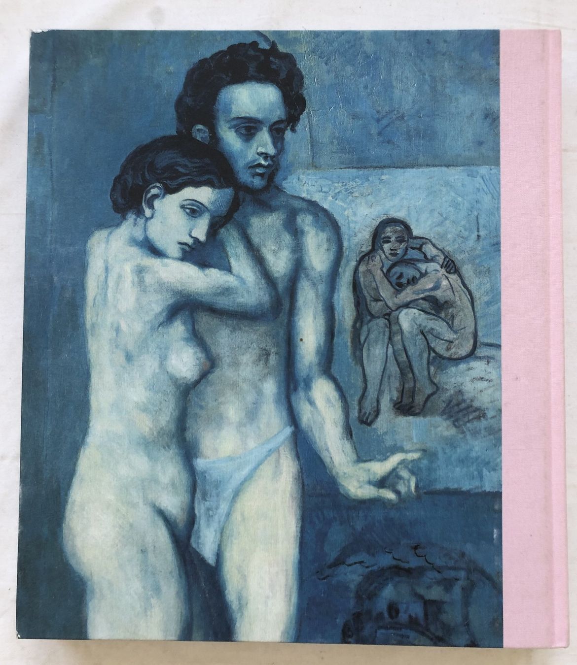 Bücher: Picasso - Blaue und Rosa Periode [Kunstband] – Gebraucht aus Schaffhausen von durruti 9