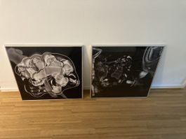 Bilder