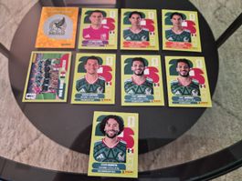 Panini WM 2006 Stickers: Mexiko-Team (8er Set) + Beilagen