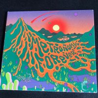 Metronomy - Metronomy Forever | Indie Synthpop