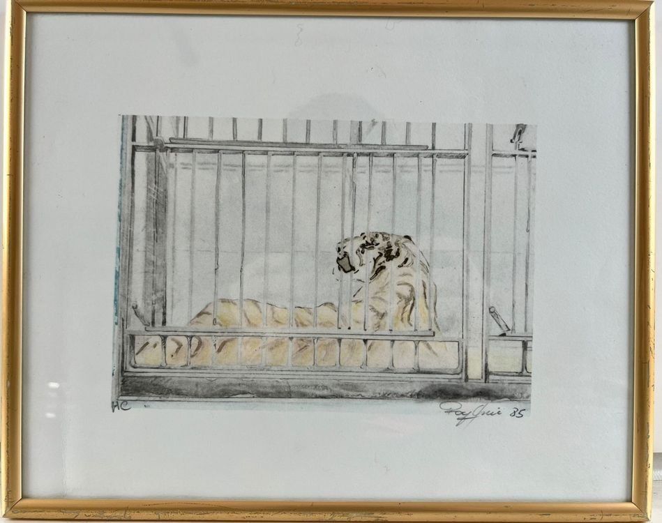 Grafiken & Lithographien: Rolf Knie - >Tiger im Käfig> – Gebraucht aus Hinwil von Chnap 1