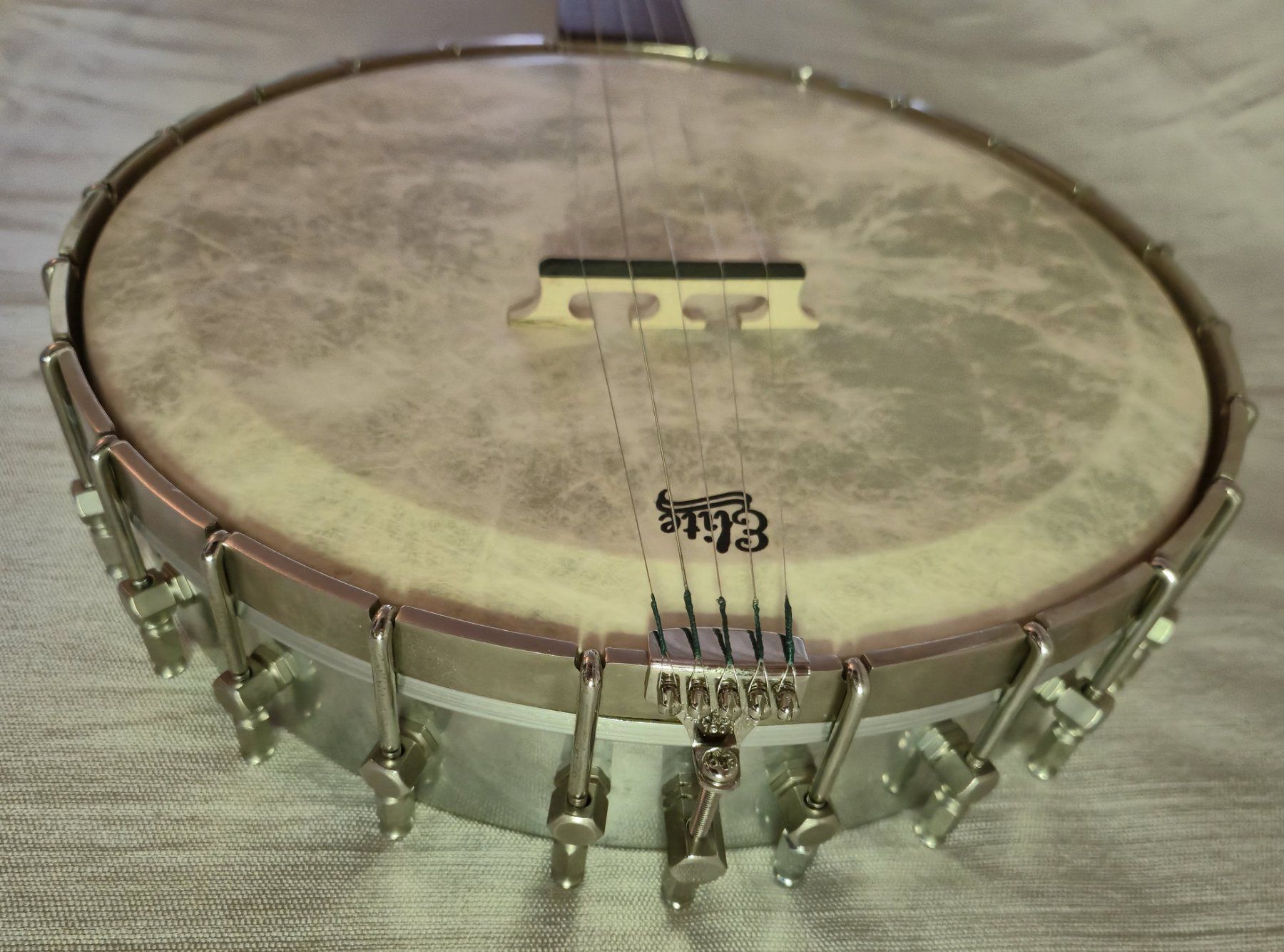 Strumenti musicali: SAGA 5-String Fretless-Banjo 11", Open-Back aus Bausatz – Usato da Jona venduto da brackets 9