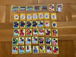 40 Panini Sticker WM 2026 & 1 Cola Sticker