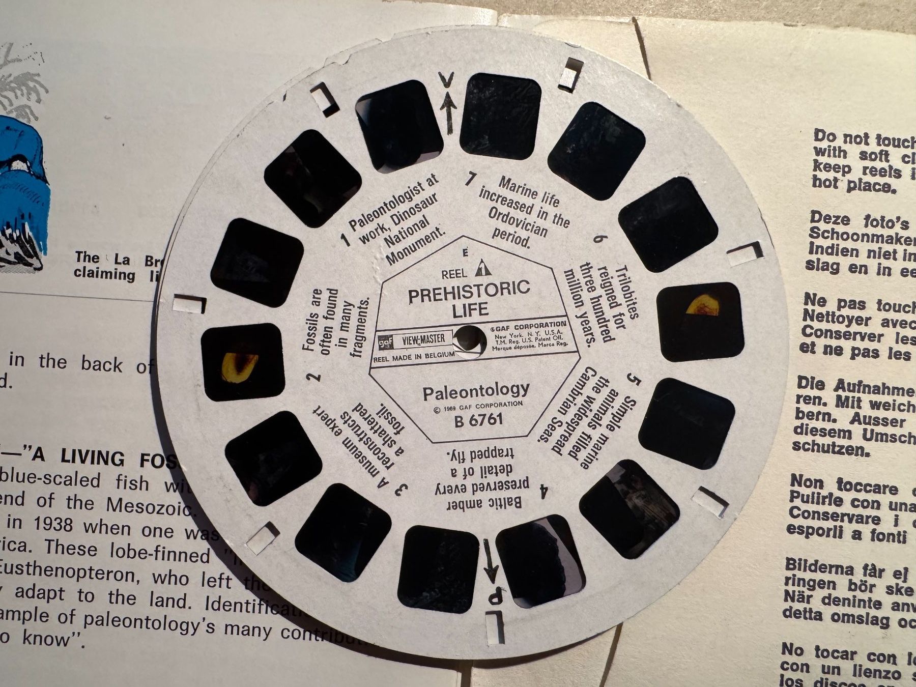 View-master Spielzeuge: View-Master 3D: Nr. B-676 PREHISTORIC LIFE – Gebraucht aus Tegerfelden von siebenmacky 5