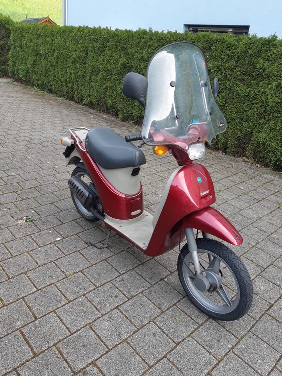 Piaggio Roller 50ccm 2 Takt