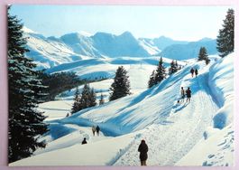 Arosa, Arlenwaldstrasse 2000 m
