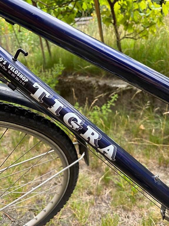 Velos: Damenvelo – Gebraucht aus Chur von hau_y85g 3