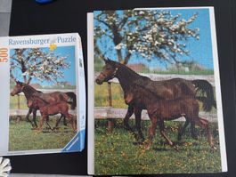 Ravensburger Puzzle "Pferde im Frühling" 500Teile