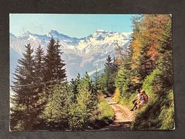 Adelboden: Hörnliweg, Tierhörnli, Steghorn, Wildstrubel