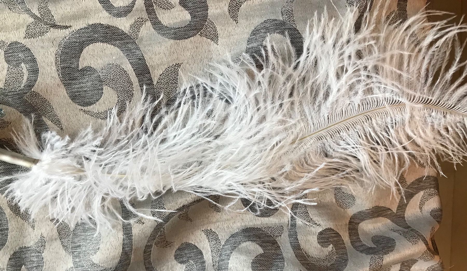 Tutte le decorazioni: elfenbeinfarbener Vogel, Pfau Schwan – Nuovo e nell'imballaggio originale da Alpnach Dorf venduto da marvo 5
