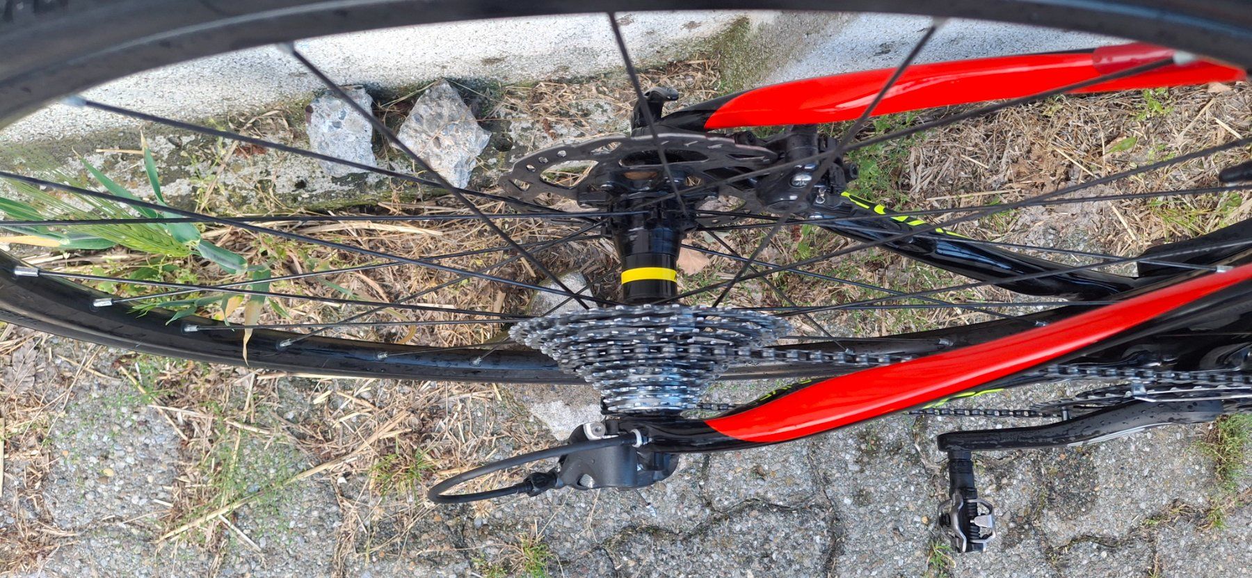 Cannondale Biciclette: Rennrad Cannondale Synapsa Carbon Disc – Usato da Kyburg venduto da JBMNT2020 4